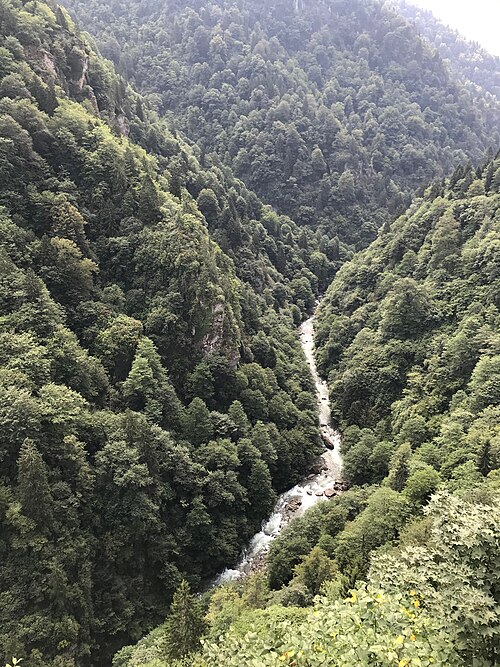 Sonbaharda Rize: Fırtına Vadisi’nde Acele Etmeden