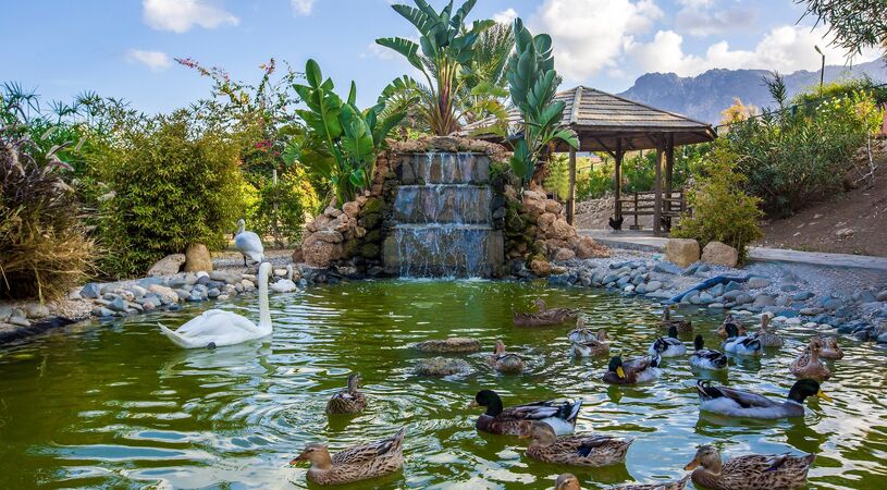 Merit Crystal Cove Hotel Casino