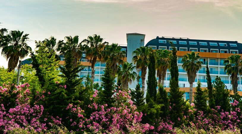 Throne Beach Resort & Spa
