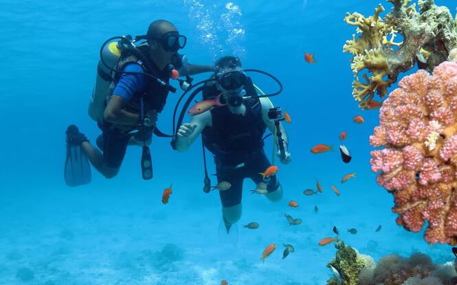 MAXİ HER ŞEY DAHİL SHARM EL SHEIKH  (3 Gece - Vizesiz)