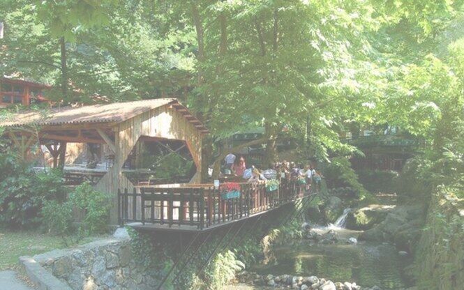 Sapanca Maşukiye Ormanya Turu