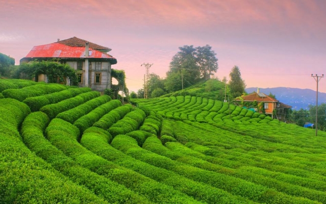 Uçaklı Karadeniz Turu 3 Gece 4 Gün