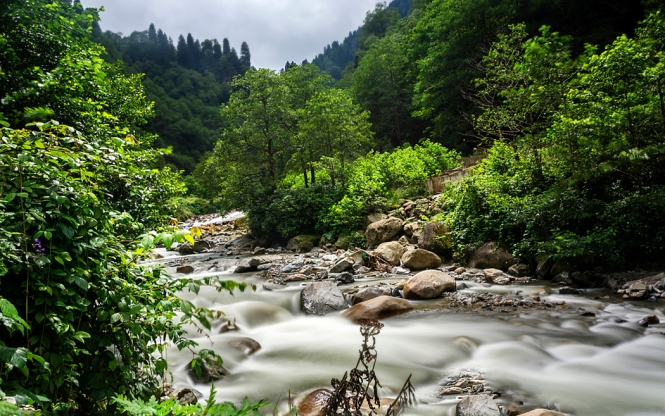 Uçaklı Karadeniz Turu 3 Gece 4 Gün