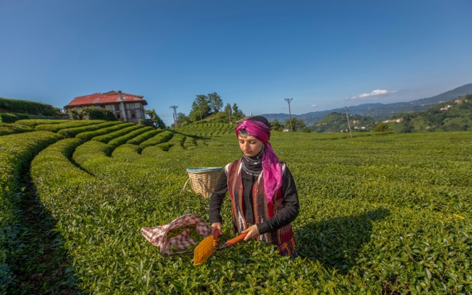 Uçaklı Karadeniz Turu 3 Gece 4 Gün