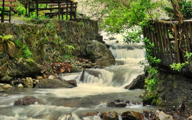 Günübirlik Maşukiye Cam Teras Ormanya Hobbit Evleri Turu Ramazan Bayramı Özel