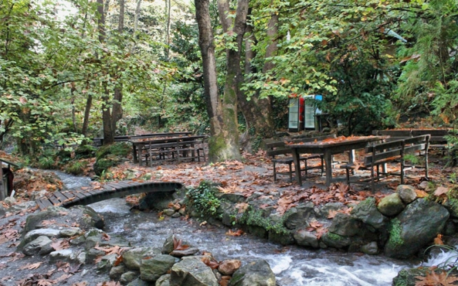 Günübirlik Sapanca Maşukiye Ormanya Turu Ramazan Bayramı Özel