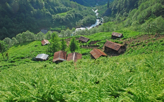 Karadeniz Yaylalar Ve Batum Turu 3 Gece 4 Gün