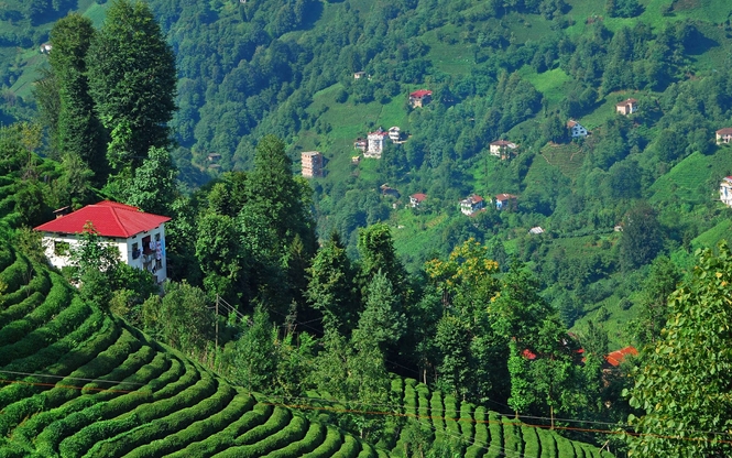 Uçaklı Karadeniz Yaylaları ve Batum Turu (3 Gece Otel Konaklamalı)