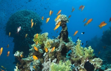 Kahire Sharm El Sheikh Turu Ajet Havayolları ile 4 Gece Kahire Şehir Gezisi Dahil