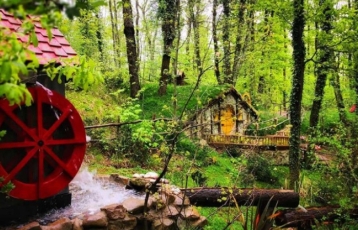 Günübirlik Maşukiye Cam Teras Ormanya Hobbit Evleri Turu Ramazan Bayramı Özel