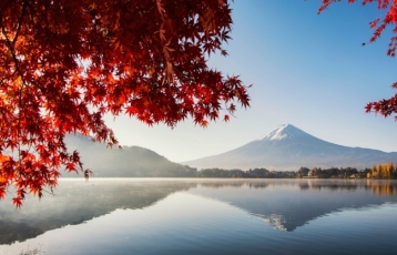 Platinum Doğu Asya’nın Çiçeği ve Güneşi “Güney Kore ve Japonya” (ICN-HND) THY ile 8 gece Seul (2) – Osaka (3) – Kyoto – Kobe - Nara – Tokyo (3) – Fuji Dağı - Hakone | Tüm turlar ve giriş ücretleri dah