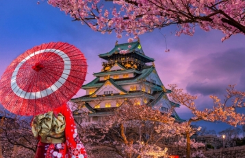 Platinum Doğu Asya’nın Güneşi ve Çiçeği “Japonya ve Güney Kore” (NRT-ICN) THY ile 9 gece Tokyo(3) - Hakone - Osaka(3) - Kyoto - Nara - Seul(3) | Tüm turlar ve giriş ücretleri dahil